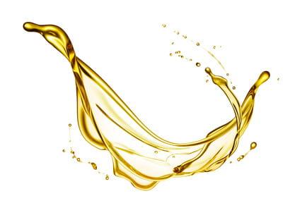 Fotolia_77925247_XS.jpg
