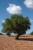Fotolia_10873000_XS.jpg